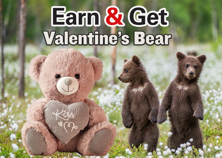 Earn N Get Valentine’s Bear